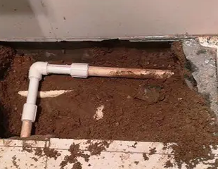 五家渠测漏水哪家好