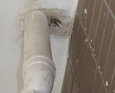 五家渠漏水检测哪家好